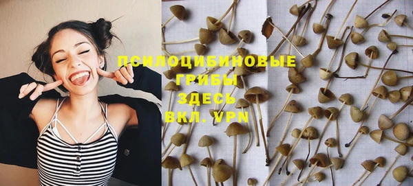 ГАЛЛЮЦИНОГЕННЫЕ ГРИБЫ Алзамай