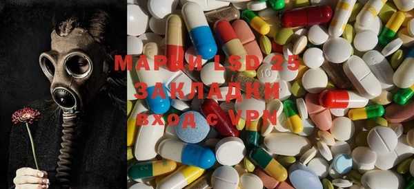 ГАЛЛЮЦИНОГЕННЫЕ ГРИБЫ Алзамай