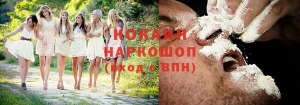 кокс Алексин
