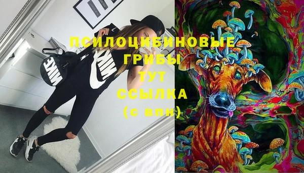 кокс Алексин