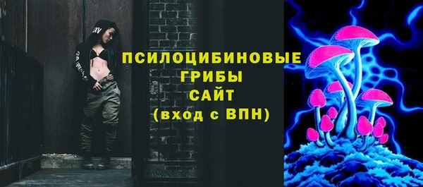 кокс Алексин
